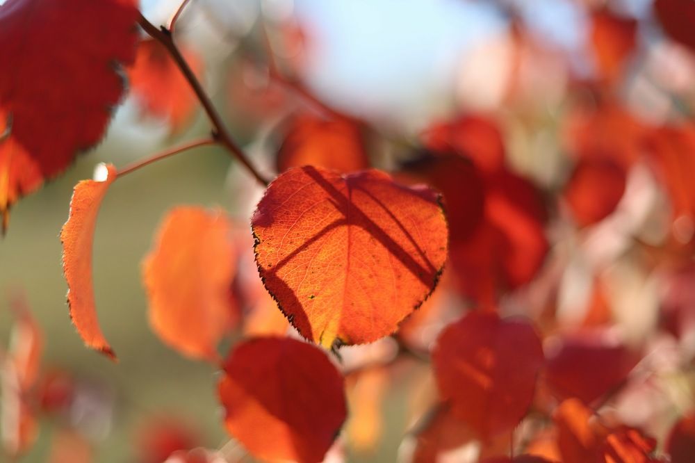 Photograph by Константин Искучеков