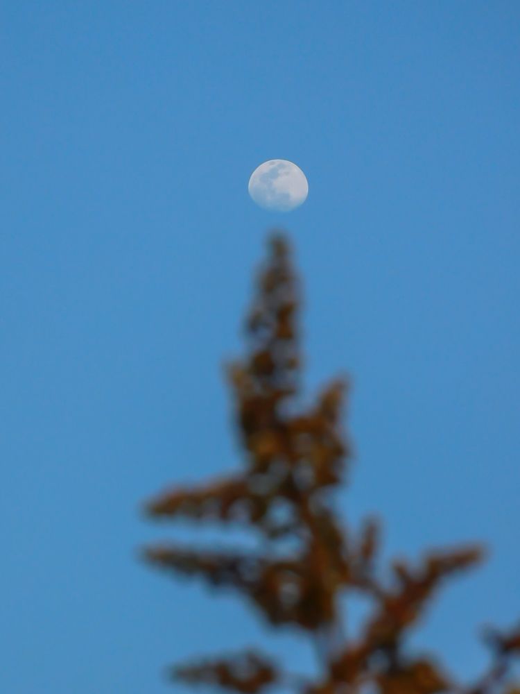 Фотография автора PURBALI KAR