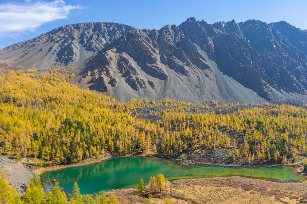 Фотография автора Сова Елена