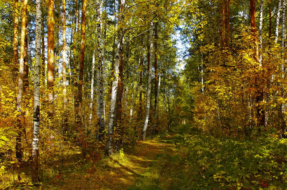 Photograph by Николай Кандауров