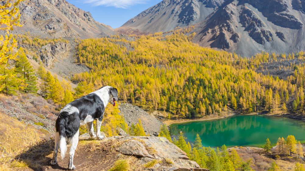 Фотография автора Сова Елена