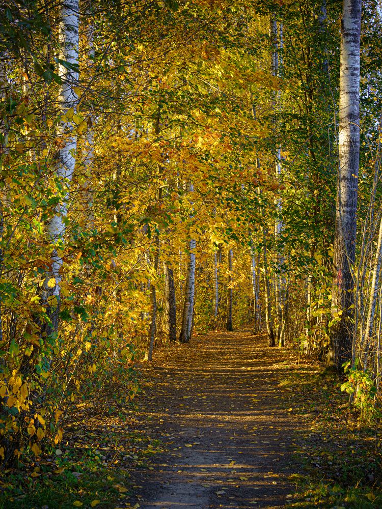 Photograph by Valdis Serzhans