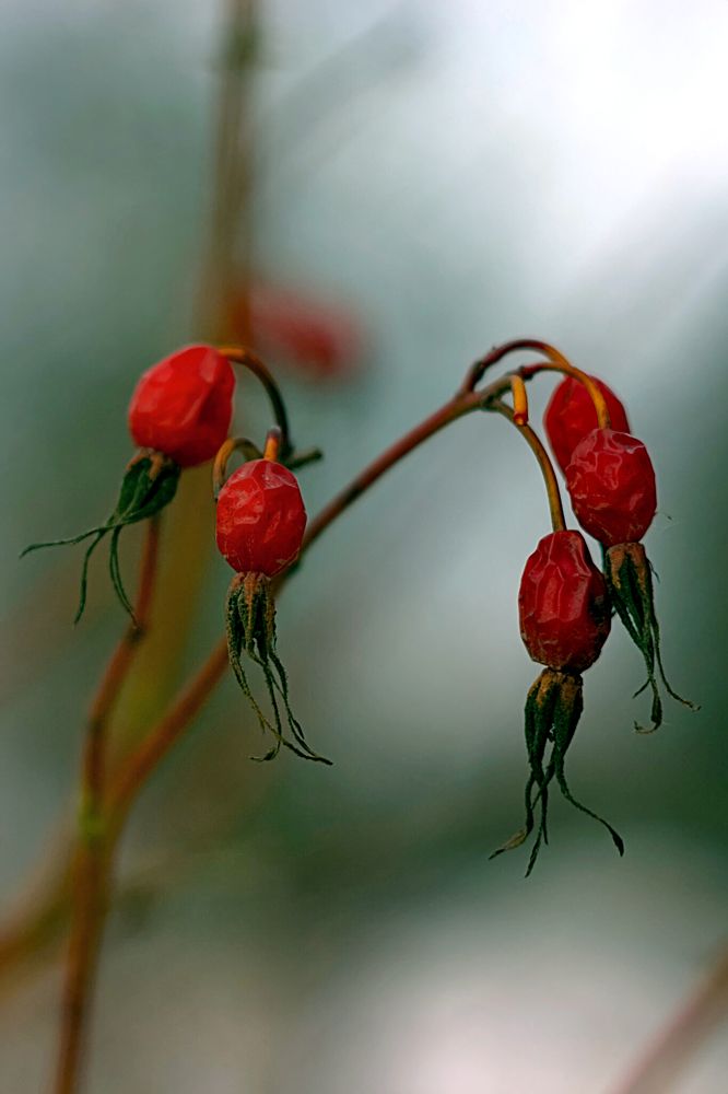 Photograph by Евгений Беленков