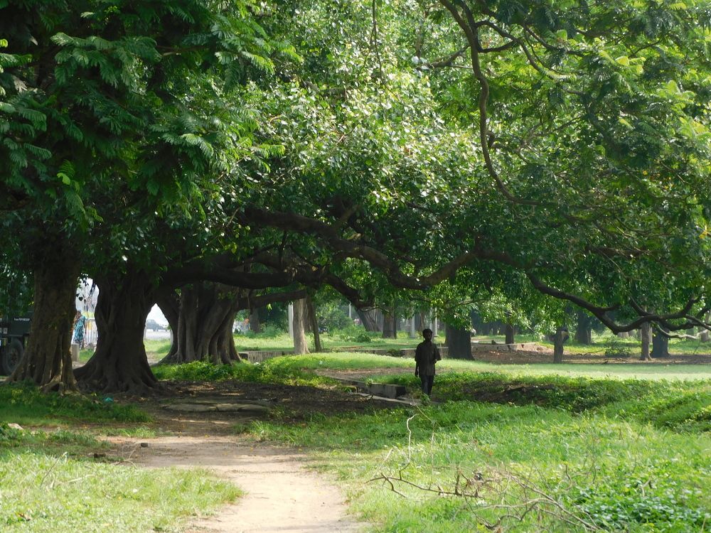 Фотография автора PURBALI KAR