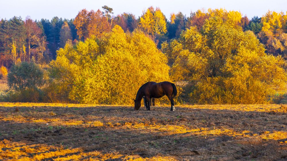 Photograph by Руслан Лесков