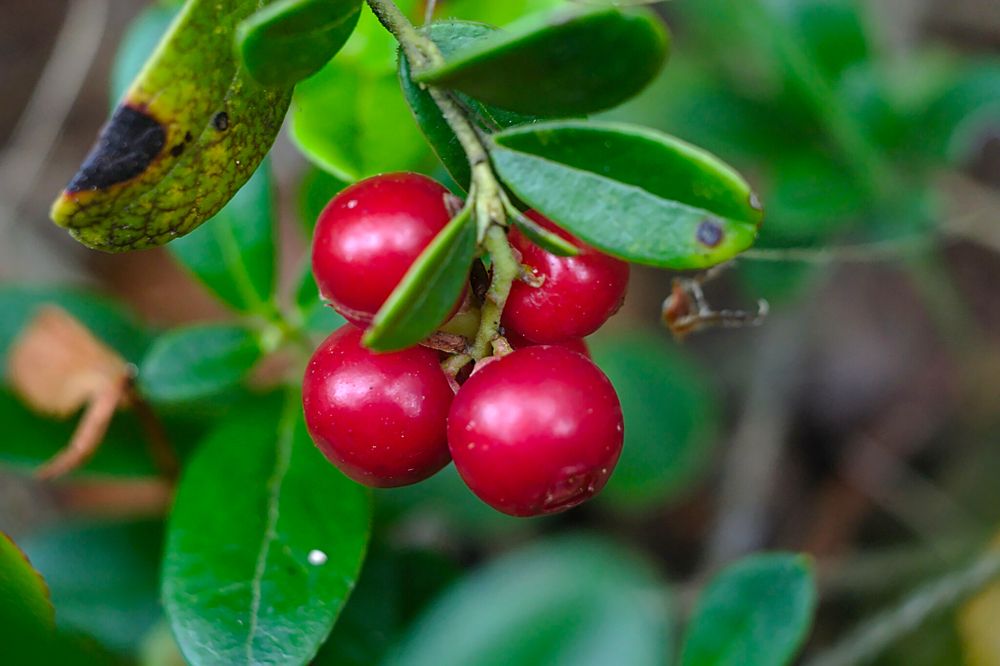 Photograph by Евгений Беленков