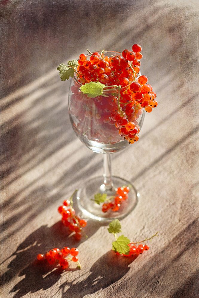 Photograph by Марина Хаева