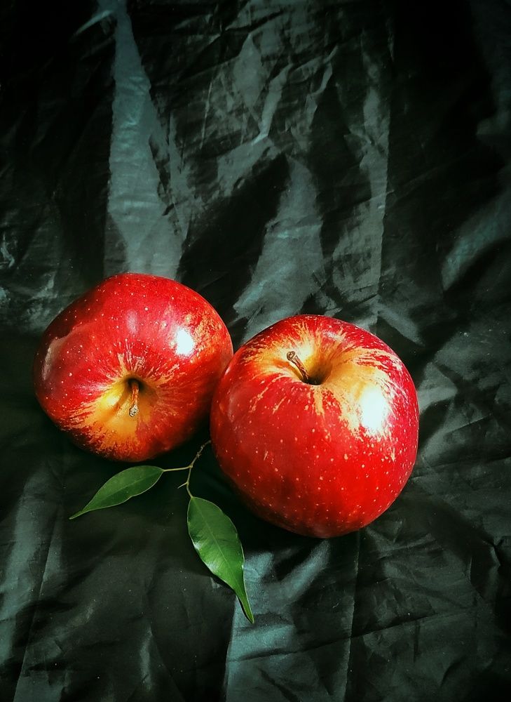 Photograph by Наталья Рау