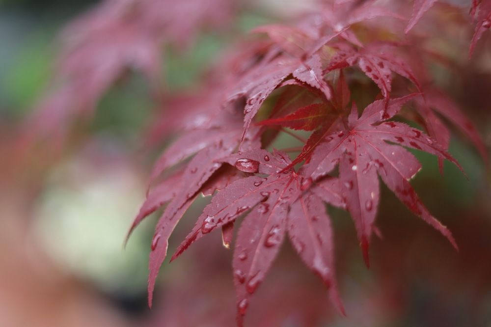 Photograph by Константин Искучеков