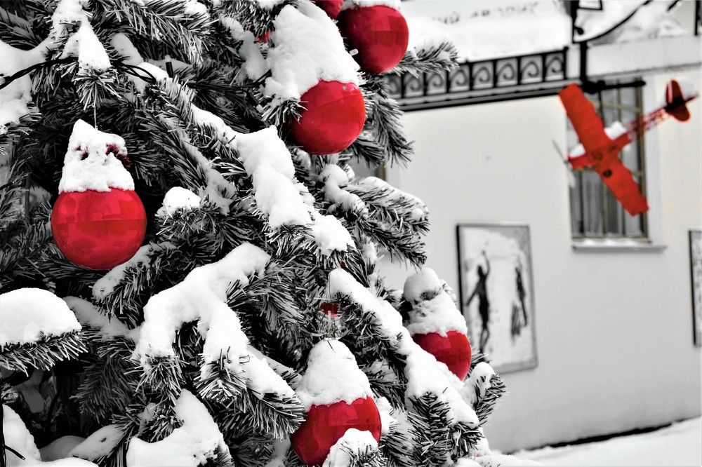 Фотография автора IRINA FILIPPOVA