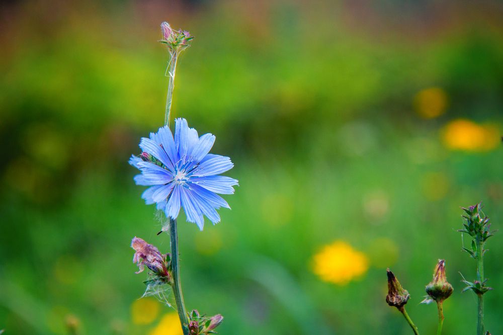 Photograph by Татьяна Семенова
