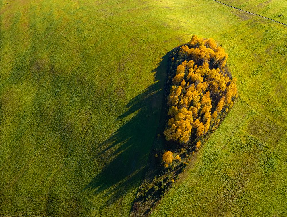 Photograph by Igor Yurkin