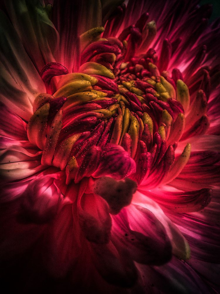 Photograph by Ольга Бородина