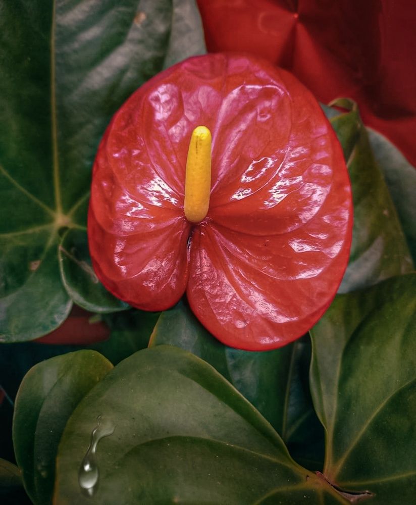 Photograph by Ольга Бородина