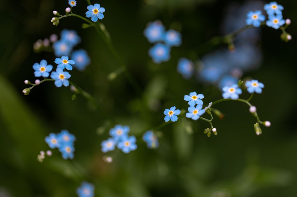 Photograph by Наталия Черкасова