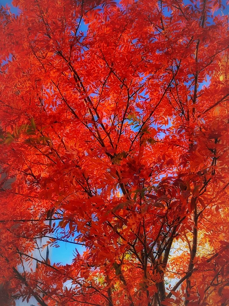 Photograph by Елена Дегтяренко