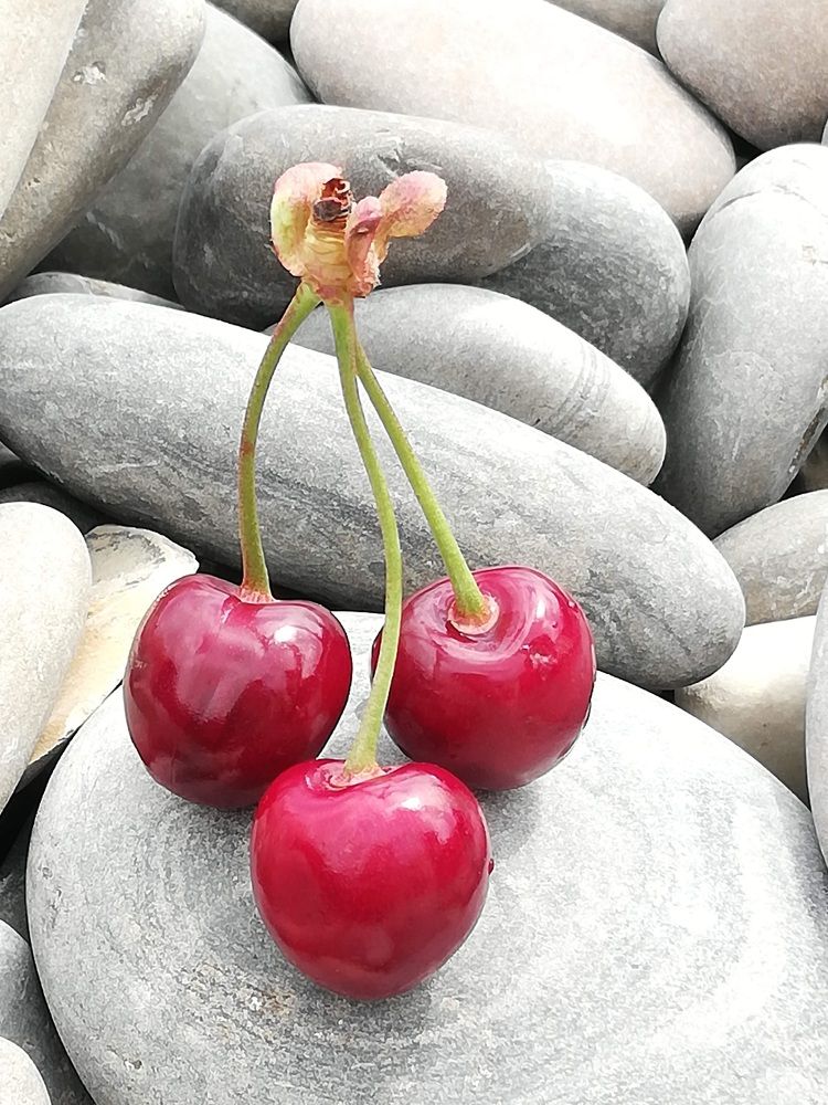 Photograph by Валентина