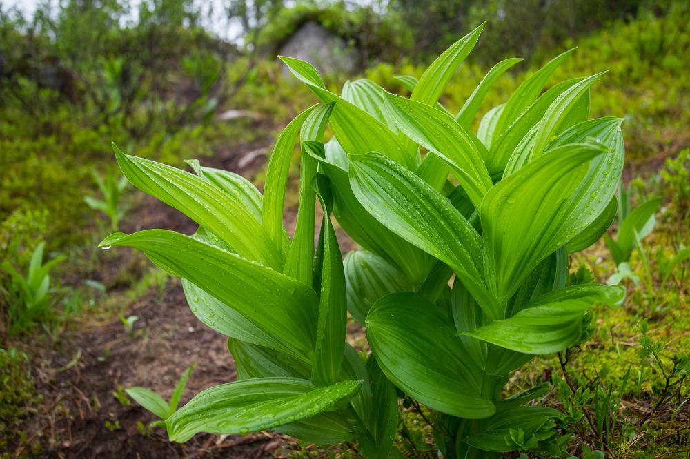 Photograph by Константин Искучеков