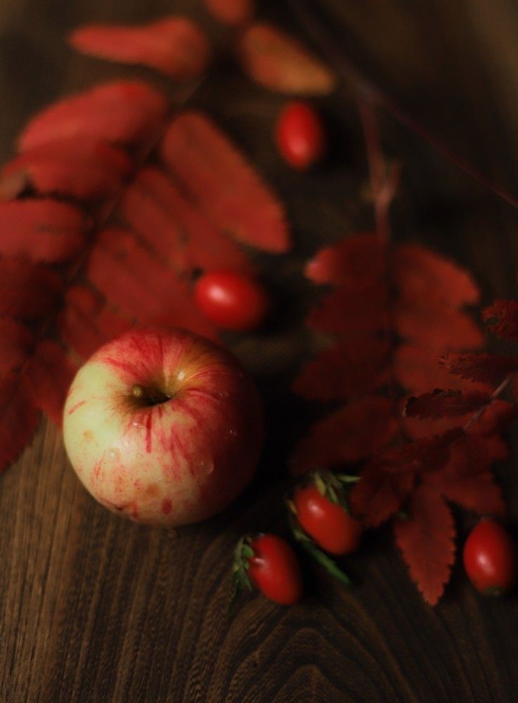 Photograph by Ася Радченко