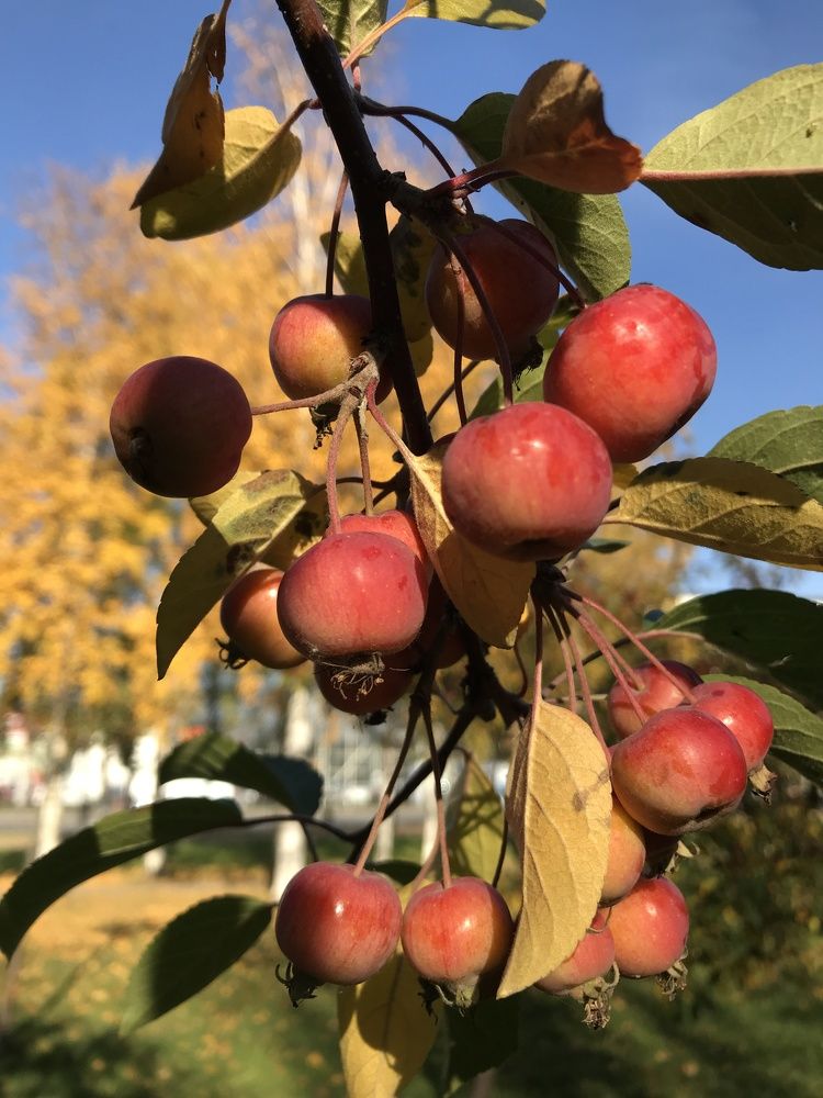 Photograph by Болдырева Ольга