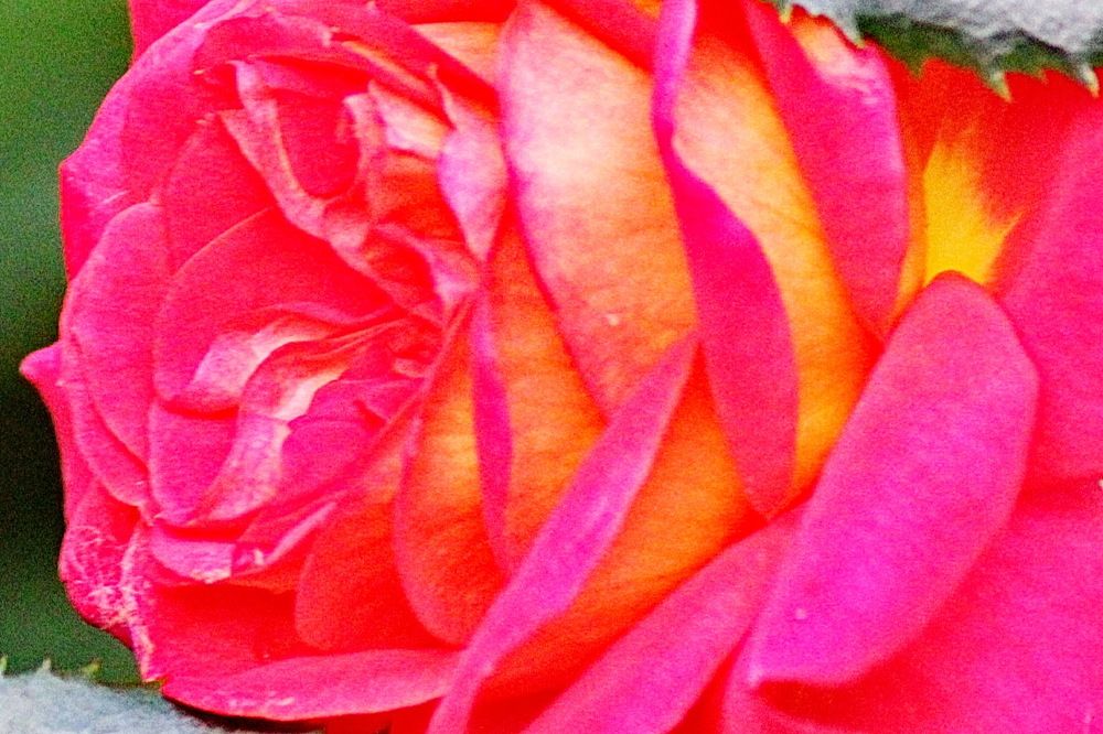 Photograph by Николай Николаевич Леухин