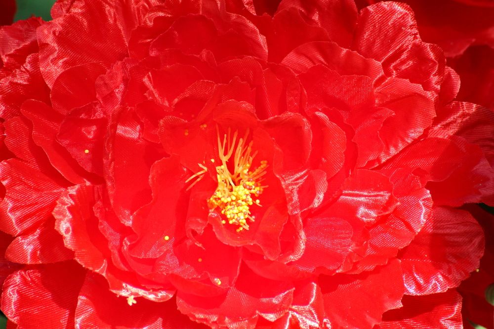 Photograph by Николай Николаевич Леухин