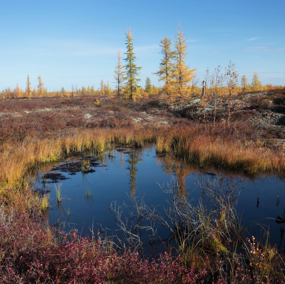 Photograph by Светлана Смирнова