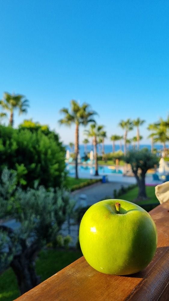 Photograph by Анна Цхай