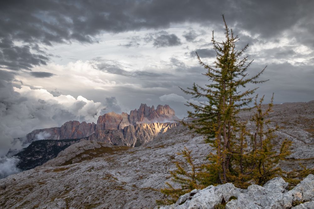 Photograph by Евгения Чех