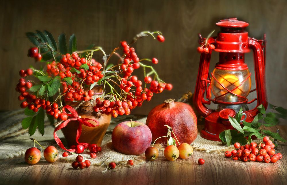 Photograph by Шруб (Беляева) Татьяна