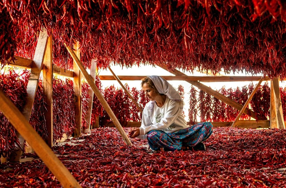 Фотография автора Fikriye Er