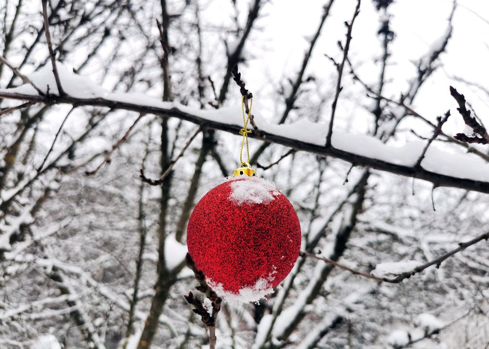 Photograph by Ева Мельникова