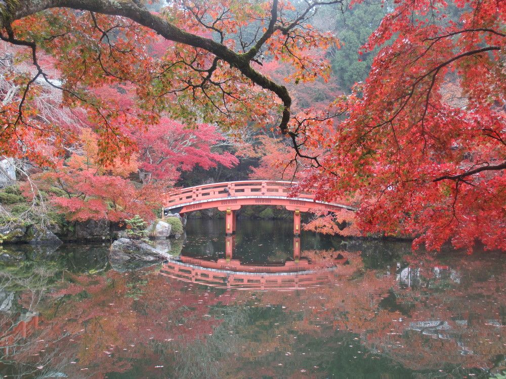 Photograph by Светлана Андреева