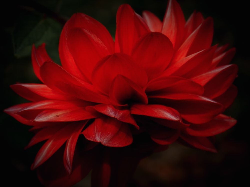 Photograph by Ирина Половцева