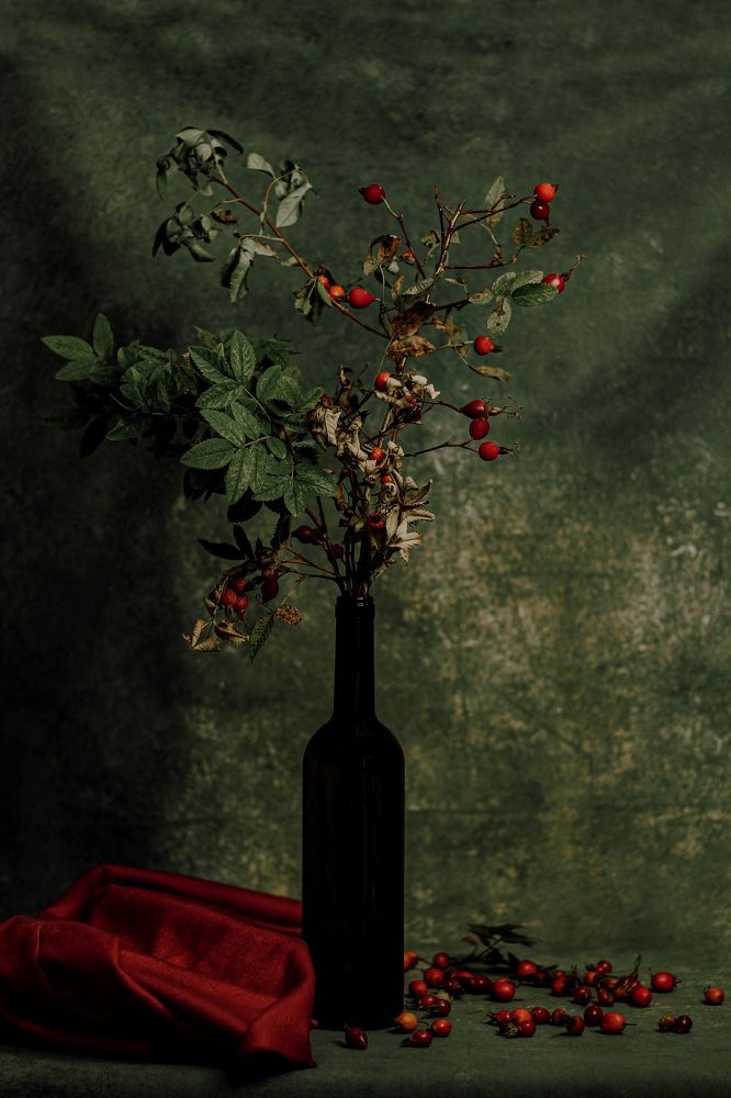 Photograph by Евгений Белов