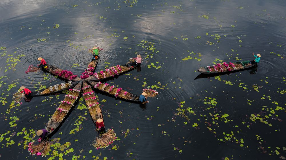 Photograph by Dinh Phong