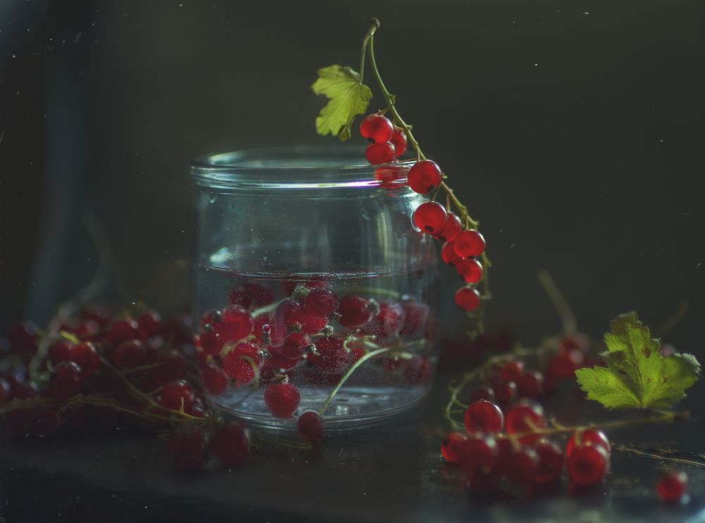 Photograph by Svoboda Andreeva