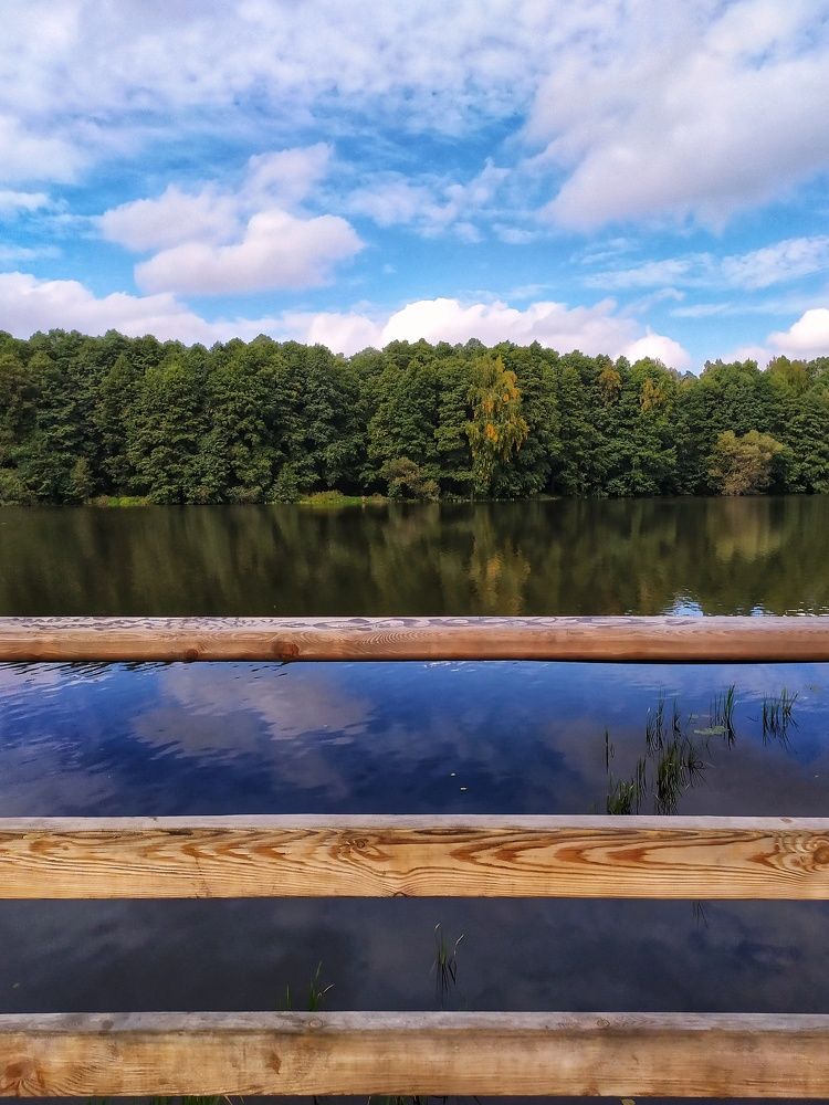 Photograph by Любовь Сухова