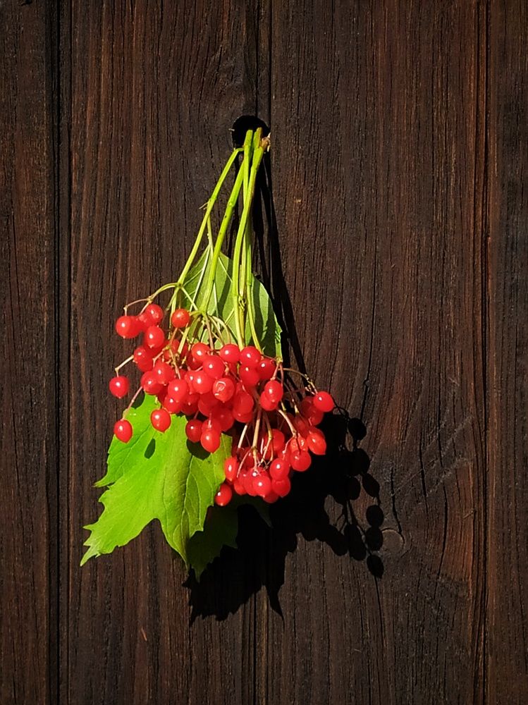 Photograph by Любовь Сухова