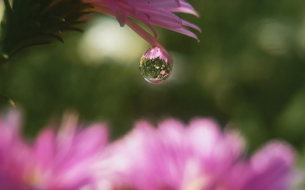 Photograph by NGUYEN LIEN