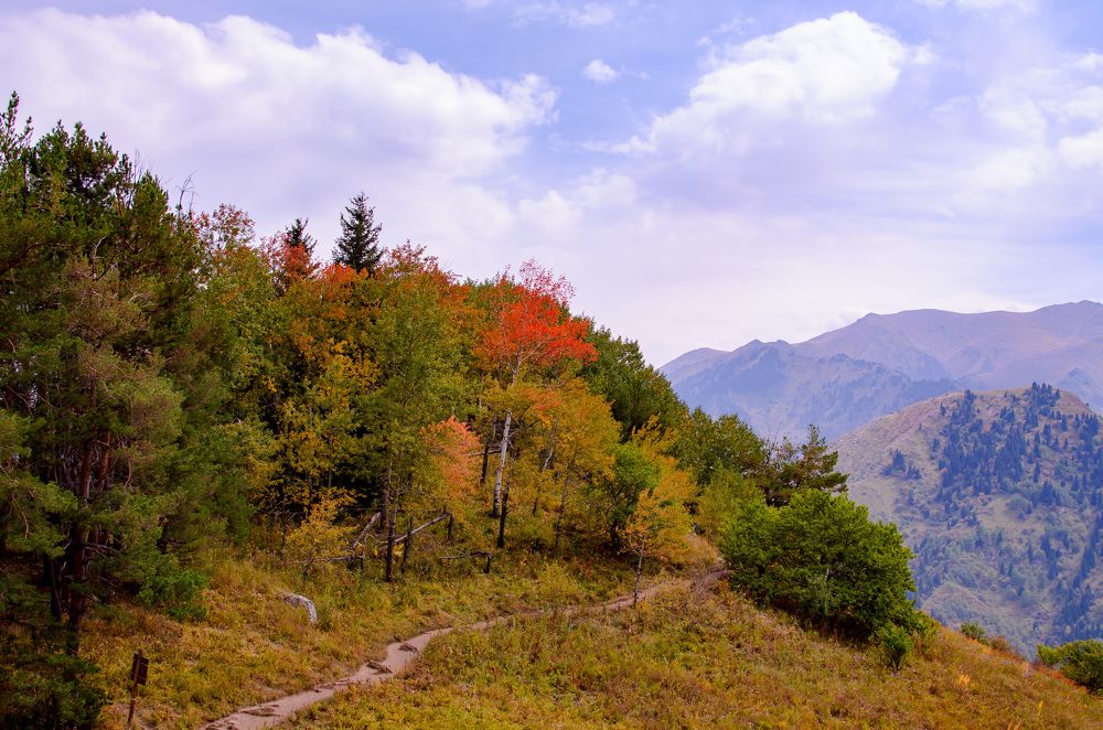 Photograph by Farkhad