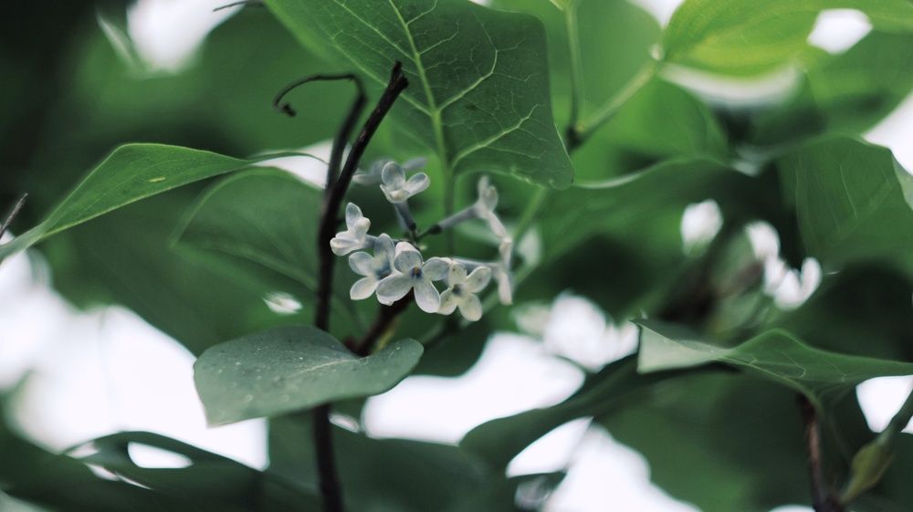 Photograph by Алёна Бондаренко