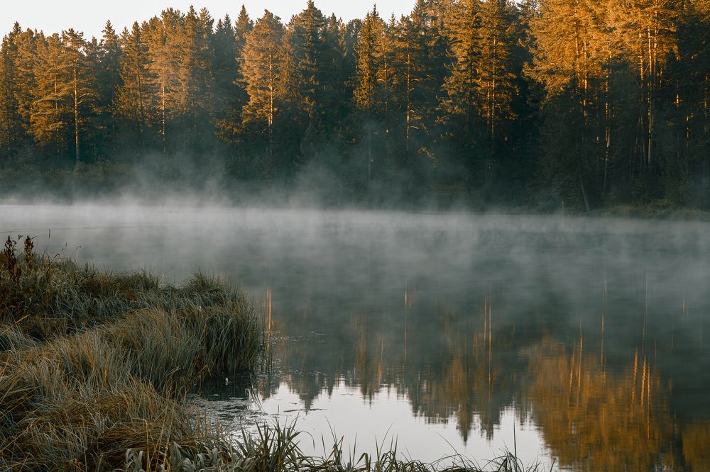 Photograph by Дмитрий Бровко