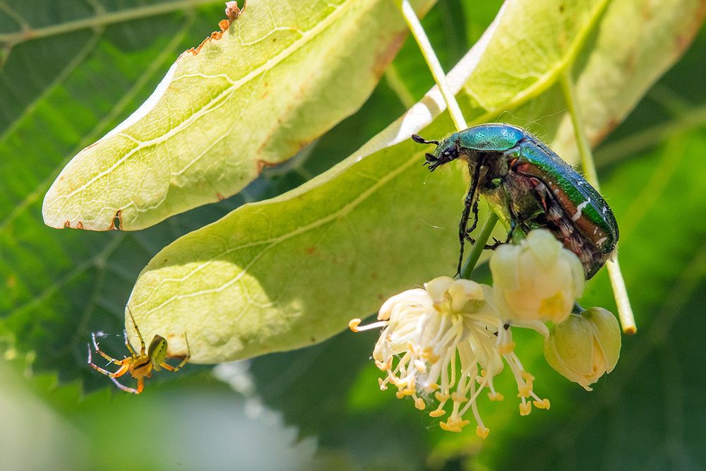 Photograph by Matko Matkovic