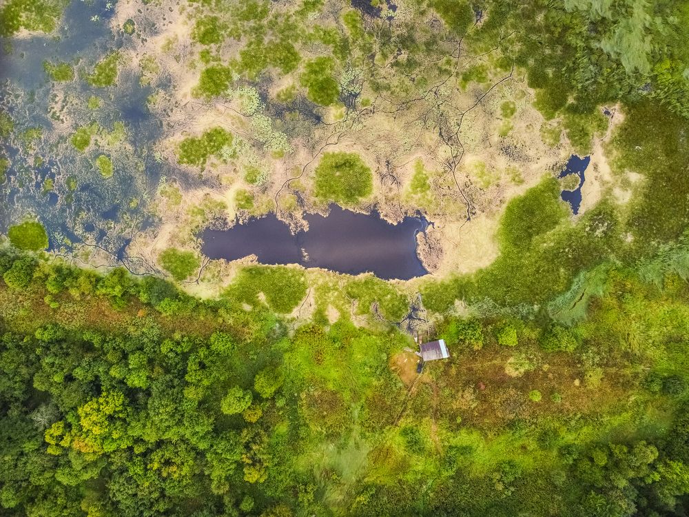 Photograph by Дмитрий Пасынков