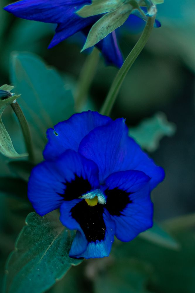 Photograph by Екатерина Абатурова