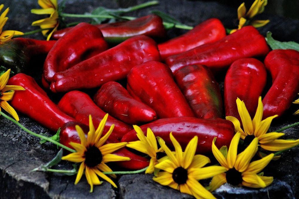 Photograph by Анна Восковых