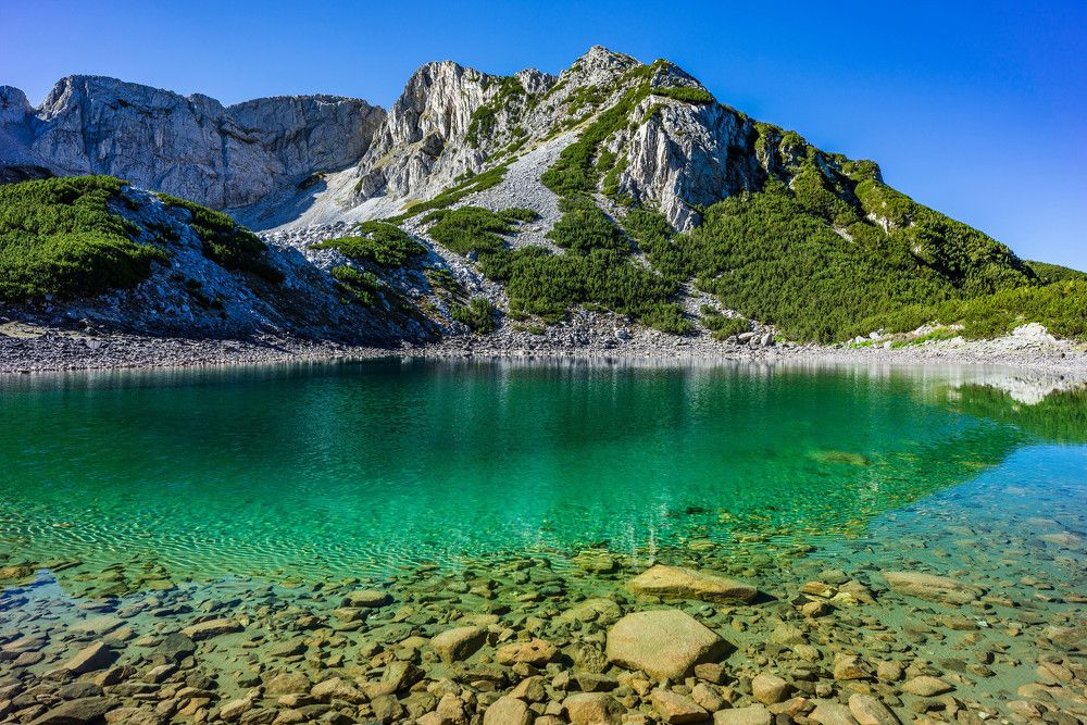 Фотография автора Виктор Демидов