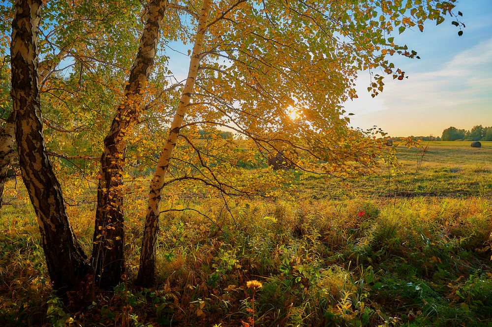 Photograph by Владимир Малевич