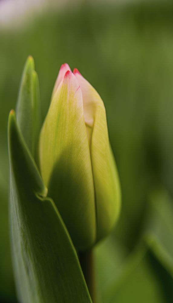 Фотография автора Асрян Севак